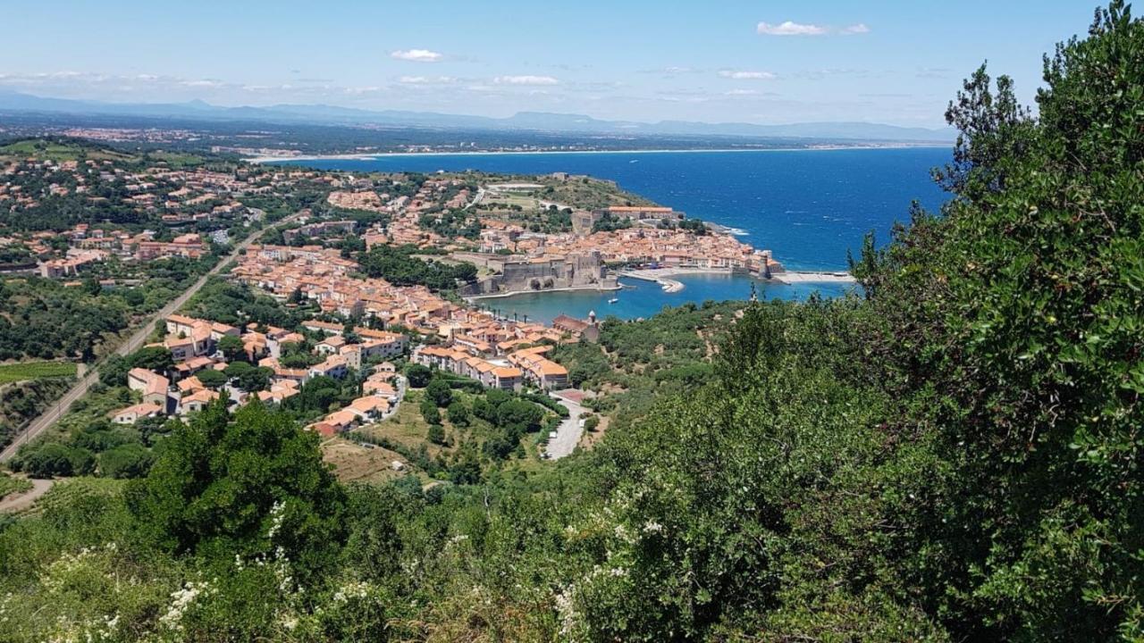 Chambre D'Hotes Villa Cote Vermeille Argeles-sur-Mer Ngoại thất bức ảnh